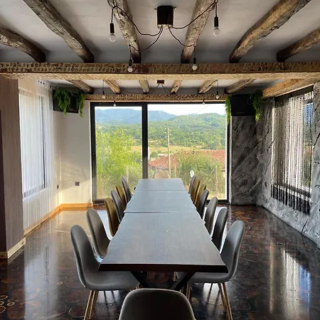 дружинци Βίλα *