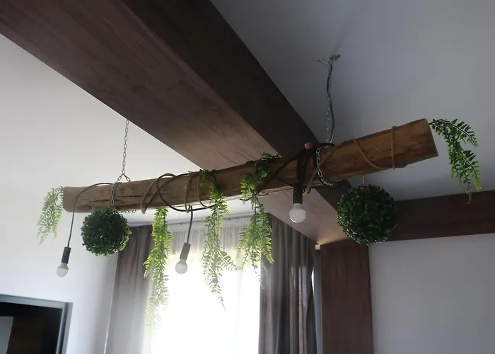 Βίλα дружинци *