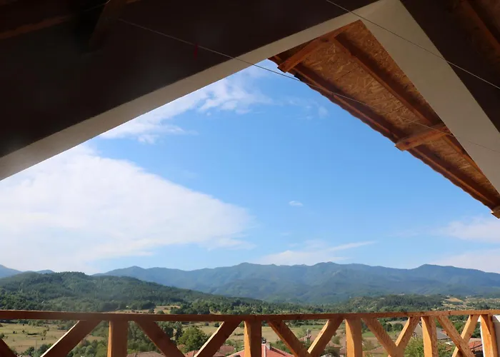 Βίλα дружинци