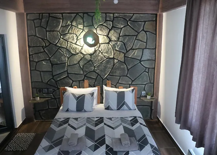 дружинци Βίλα *